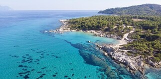 Naxos and Syros 2026 World Best Destinations — Time For Trip Stunning aerial drone view of a pristine secluded Cycladic bay with turquoise crystal clear waters and green pine trees.